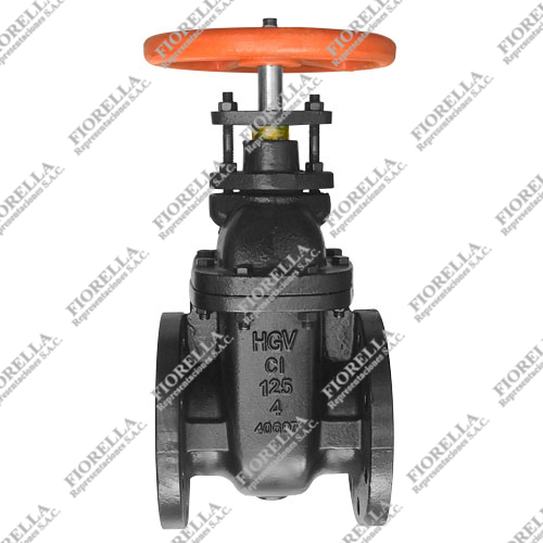 VÁLVULA COMPUERTA FIERRO FUNDIDO ASTM A126 ASIENTO DE BRONCE CLASE 125 BRIDADA B16.1 CARA PLANA VASTAGO FIJO TIPO INDUSTRIAL HGV