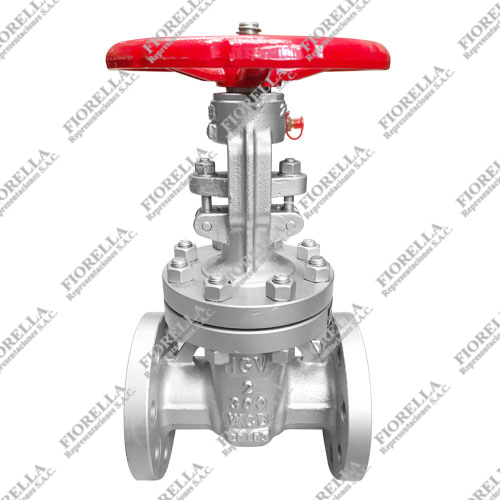 VÁLVULA COMPUERTA ACERO AL CARBONO ASTM A216 WCB  CON ANILLOS 13% CR. VÁSTAGO ASCENDENTE OS&Y API 600 TRIM 8 CLASE 300 BRIDADA ANSI B16.5 RF TIPO INDUSTRIAL HGV
